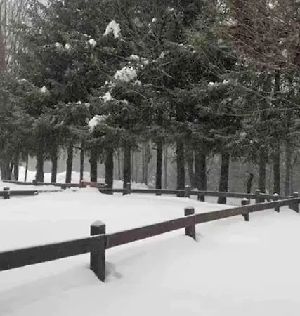 Ampio Giardino Adiacente Piste Sci 4/6 Posti Letto Dom wakacyjny La Thuile